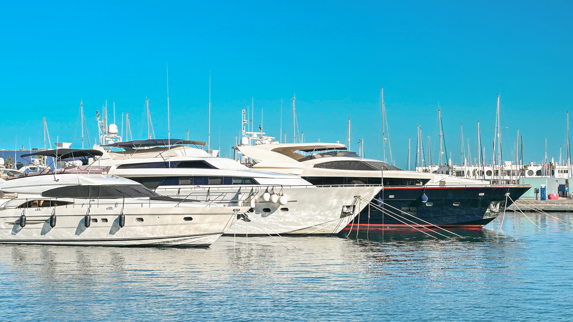 Trusted by Premier Marinas