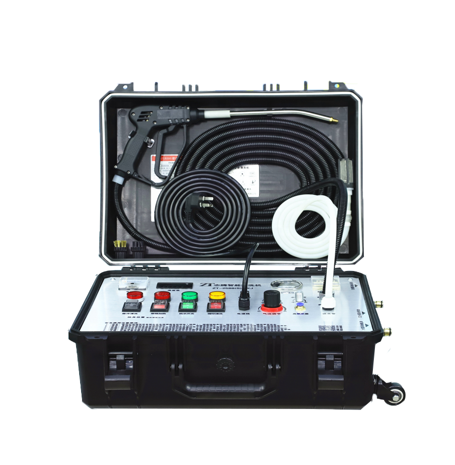 Professional power steamer